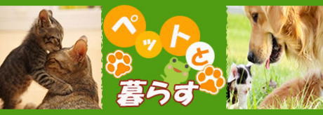 空き家対策